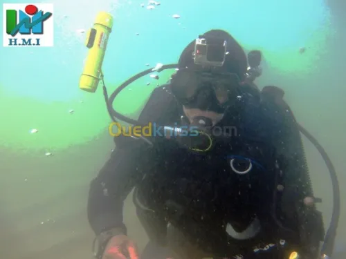 Inspection sous-marine                