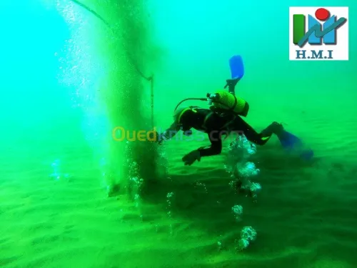 Inspection sous-marine                
