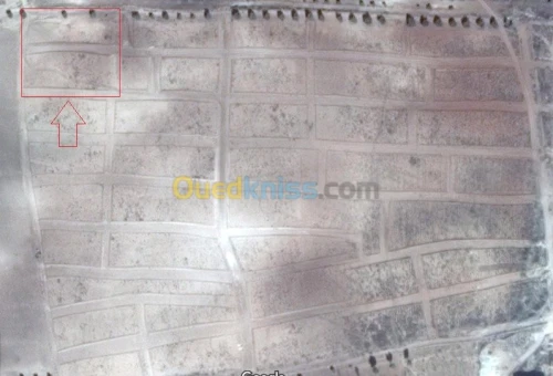 Vente Terrain Tlemcen Sabra