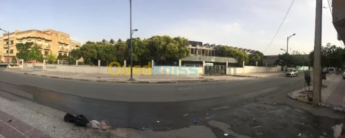 Location Hangar Khenchela Khenchela