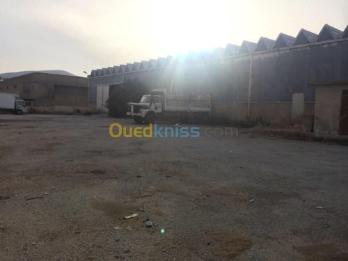 Location Hangar Khenchela Khenchela