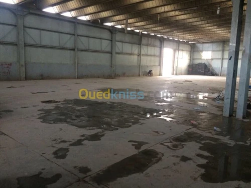 Location Hangar Khenchela Khenchela