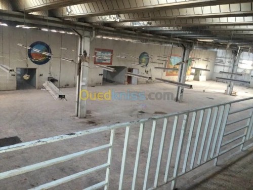 Location Hangar Khenchela Khenchela