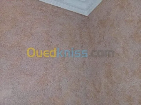 Décoration Intérieur-Peinture Décora