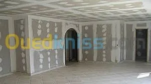  Placo Plâtre (faux plafond. cloison) 