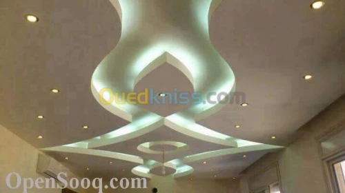  Placo Plâtre (faux plafond. cloison) 