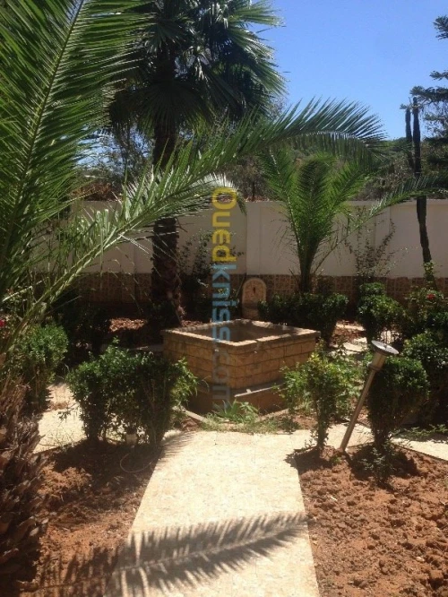 Location Villa Alger Dely brahim