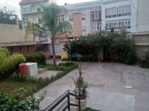 Location Villa Alger Dely brahim