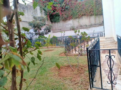 Location Villa Alger Dely brahim