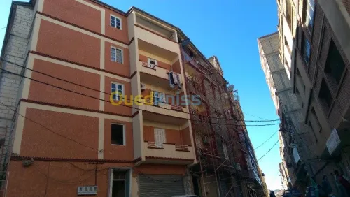 revetement de façade and interieurP