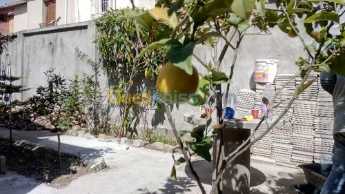 Vente Villa Boumerdes Issers