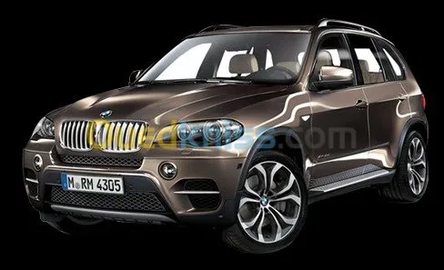 JANTE BMW X5 / X6
