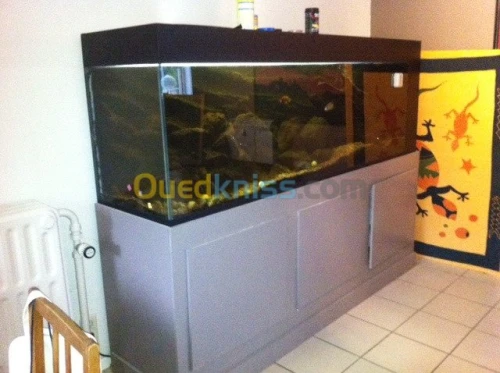 TOUT TYPE DE DECORTION