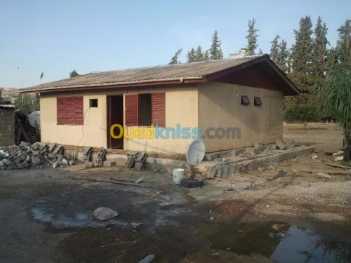 Vente Bungalow Tlemcen Hennaya