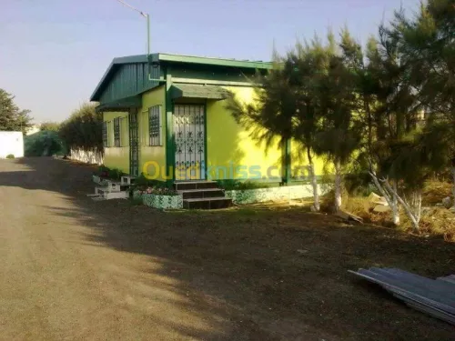 Vente Bungalow Tlemcen Hennaya