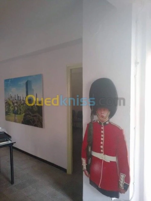 FORMATION: Anglais|Français