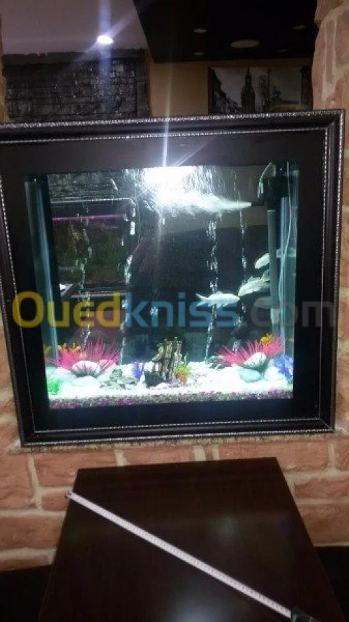 Aquarium 