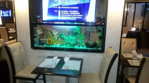 Aquarium 