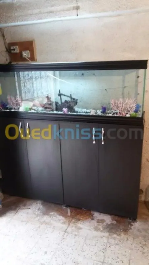 Aquarium 