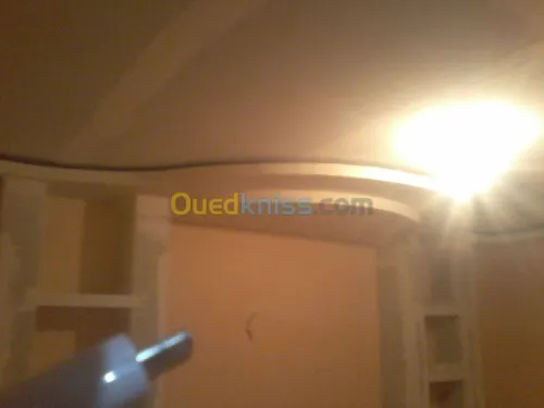 placo plat . pvc.plafond démontable