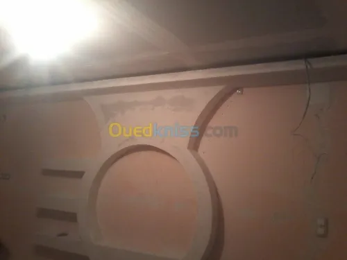 placo plat . pvc.plafond démontable