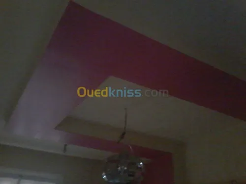 placo plat . pvc.plafond démontable