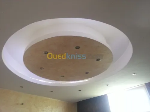 placo plat . pvc.plafond démontable
