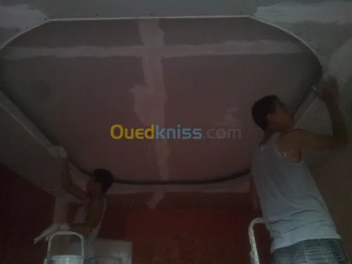 placo plat . pvc.plafond démontable