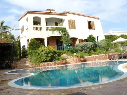 Construction; rénovation Piscines مسبح