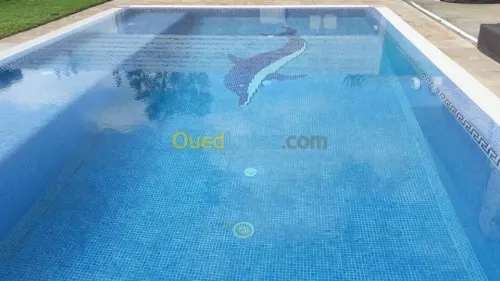 Construction; rénovation Piscines مسبح