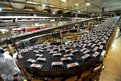 line de production 