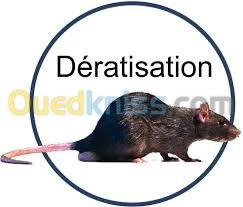 désinsectisation 