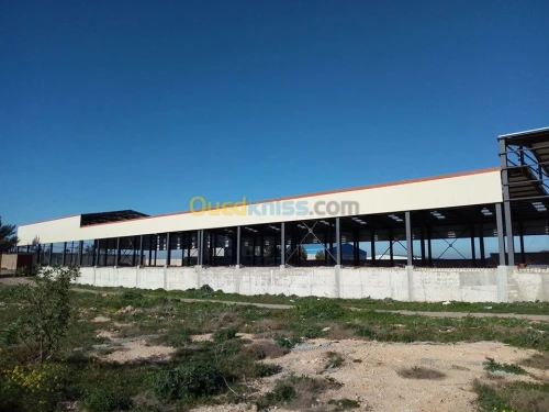 Charpente métallique 