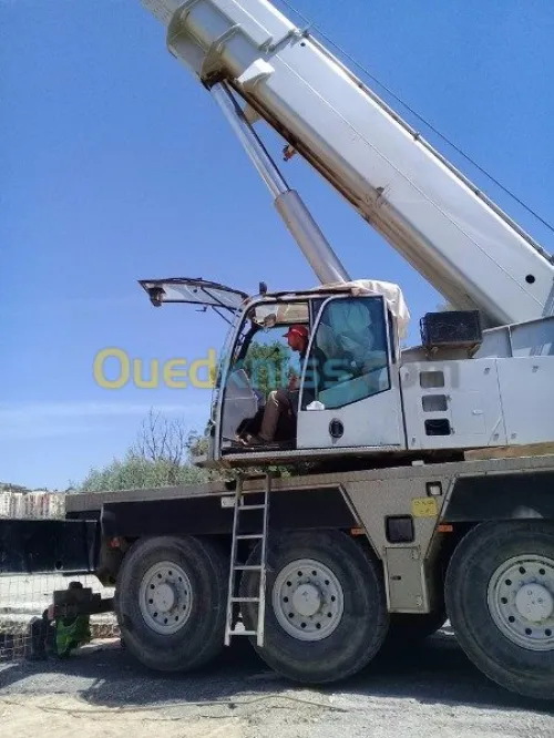 Location grue mobile