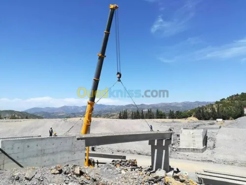 Location grue mobile
