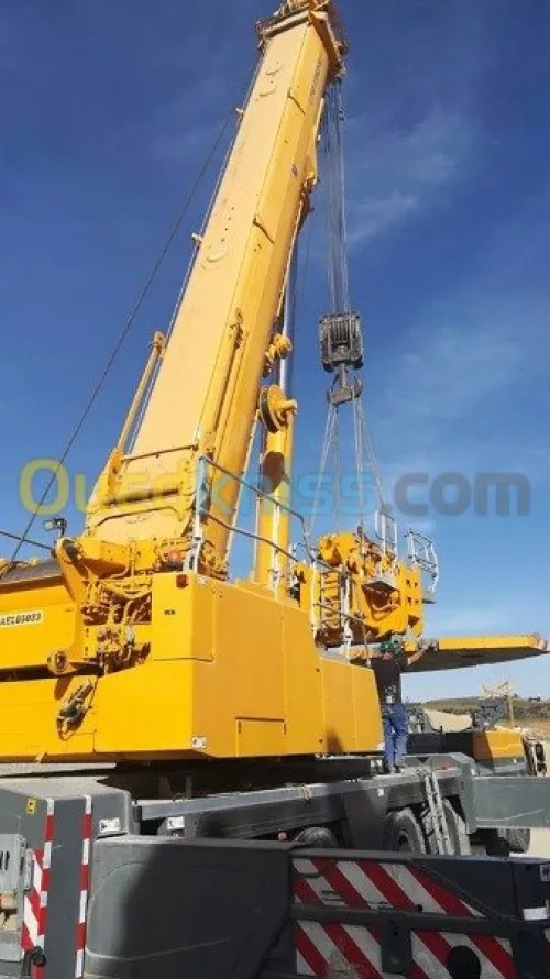 Location grue mobile