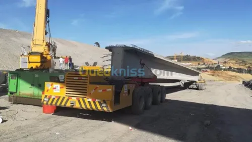 Location grue mobile