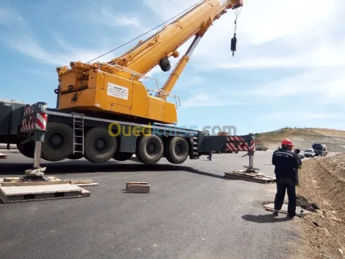 Location grue mobile