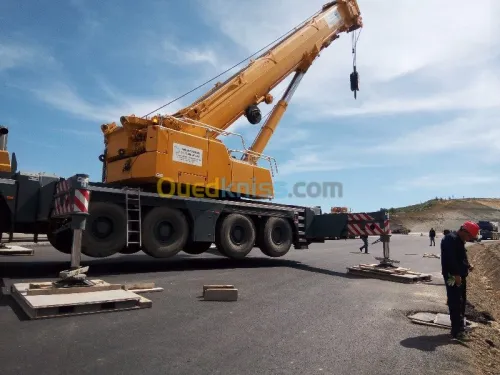 Location grue mobile