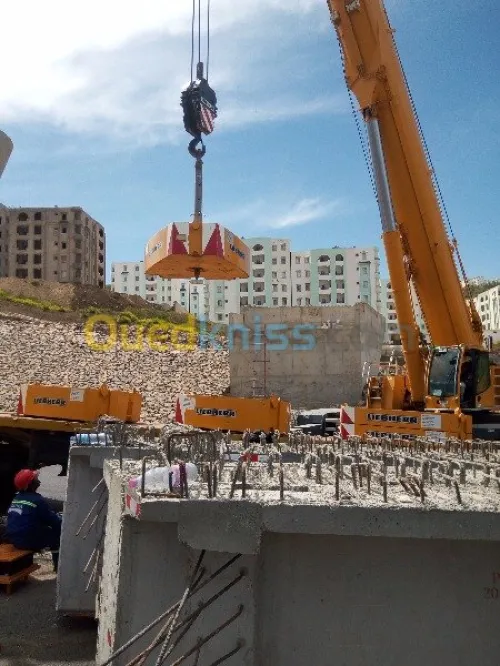 Location grue mobile
