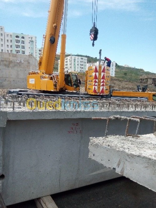 Location grue mobile