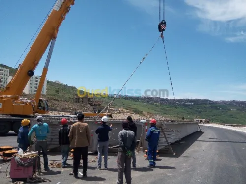 Location grue mobile