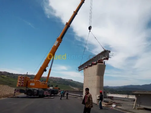 Location grue mobile