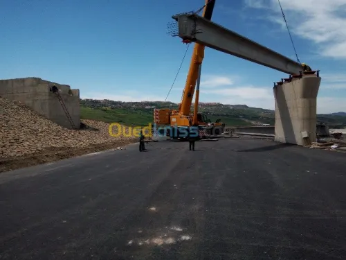 Location grue mobile