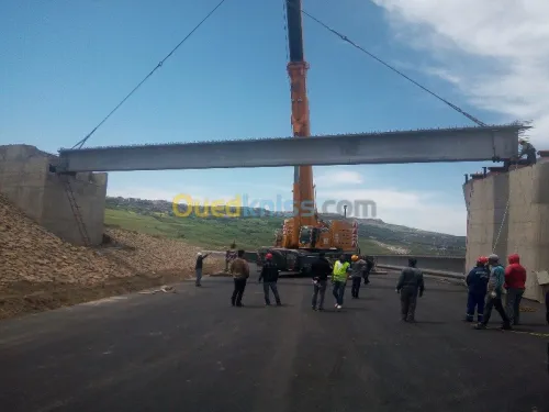 Location grue mobile