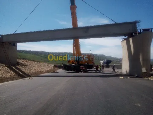 Location grue mobile