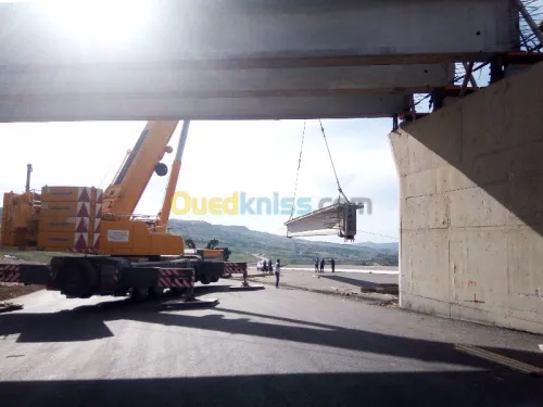 Location grue mobile