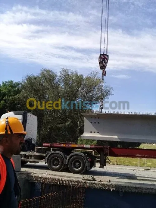 Location grue mobile