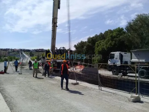 Location grue mobile