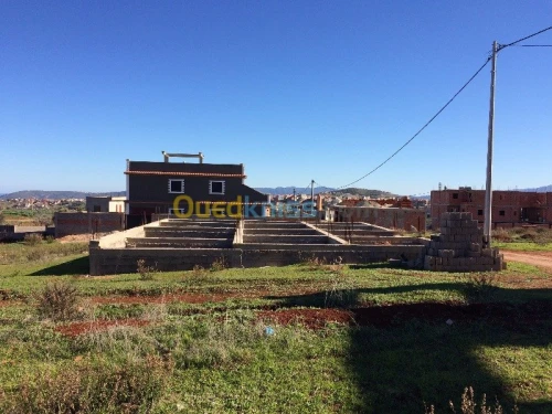 Vente Terrain Tlemcen Souahlia